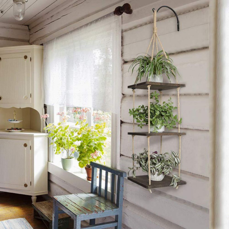 2185_311536 2185_311536